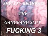 SHELLEY GANG FUCKED PT (4)