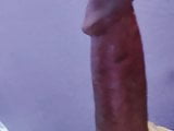 My Bigcock with big erected head for suck it nicely n taste 