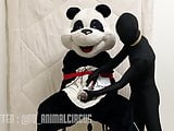 Mascot Panda Trying to Escape